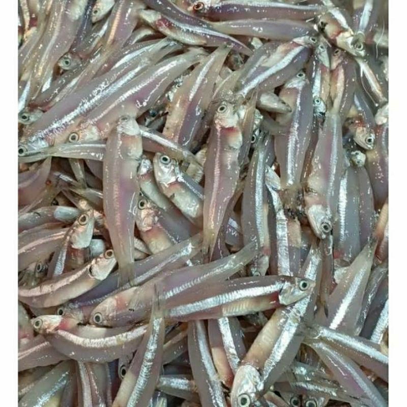 

IKAN TERI BASAH _ 500gr