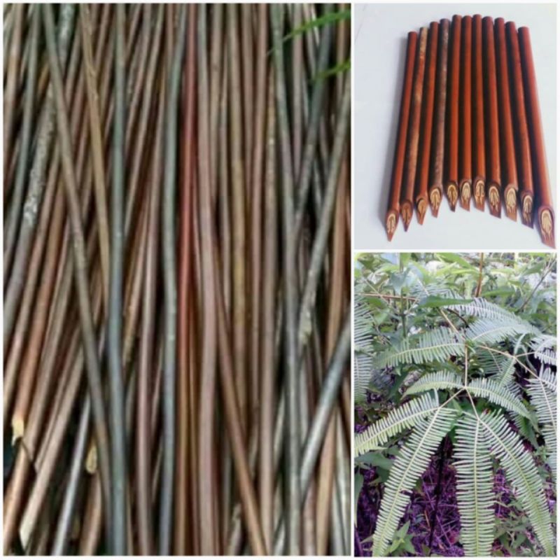 

10 pcs Batang handam bahan pena kaligrafi