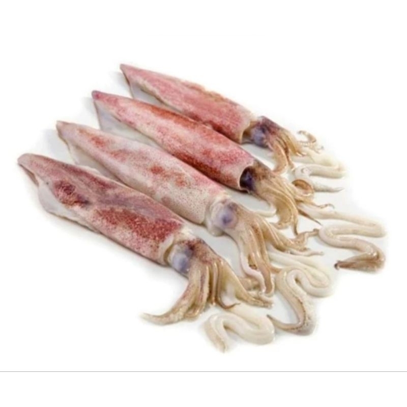 

CUMI BASAH SEGAR (250 GRAM)