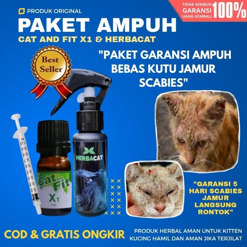 PAKET MANJUR Bebas Jamur Kutu Scabies Kucing Cat and Fit X1 HerbaCat GARANSI AMPUH MENGOBATI KUTU JA