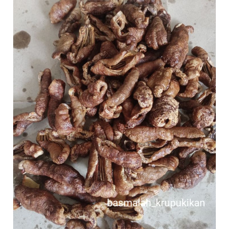

KRUPUK BLONYO/TRIPANG GORENG khas sidayu Gresik / 250g.