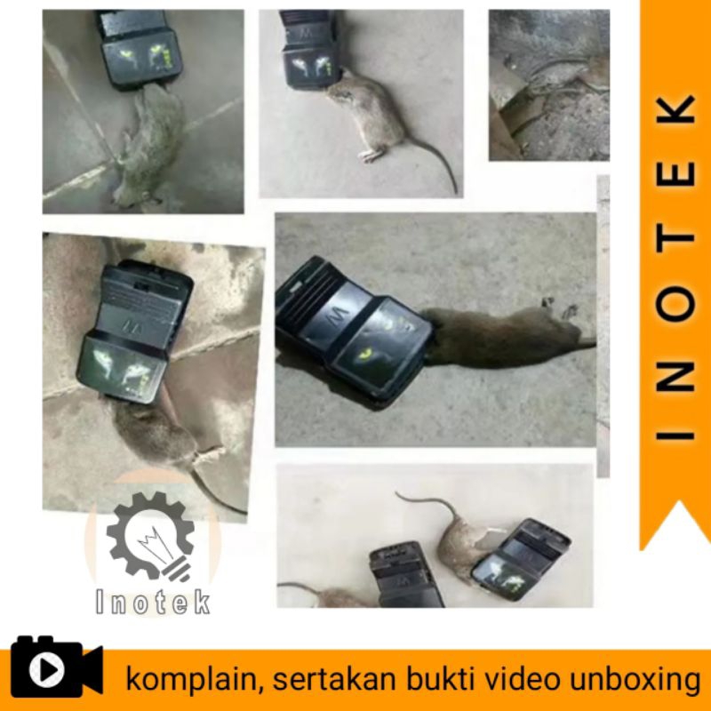 Jebakan tikus curut besar mouse rat trap sistem jepit