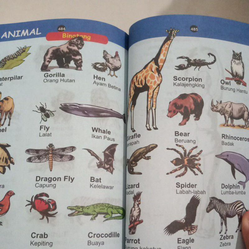 Kamus 999 Trilyun Edisi Lengkap Inggris - Indonesia / Indonesia - inggris