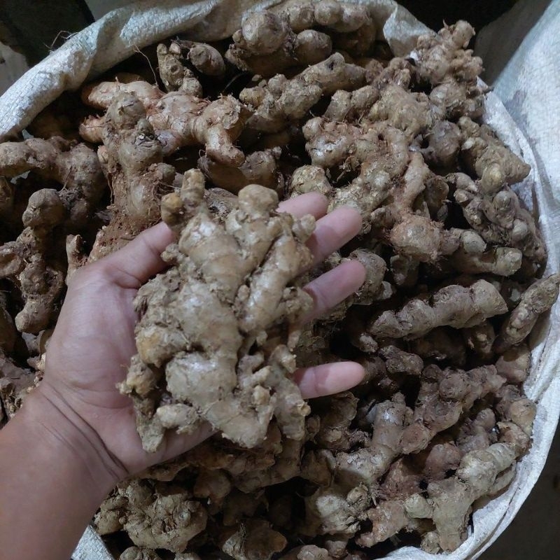 Jahe Emprit 1kg