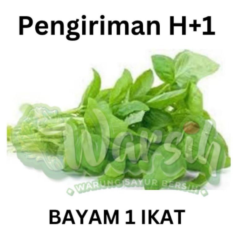 

WARSIH • BAYAM 1 IKAT