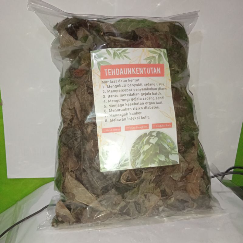 

Paket 500 Gram Kering Daun Simbukan/Kentutan Asli