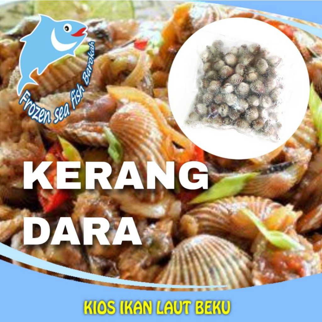 

kerang dara depok