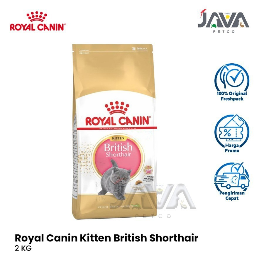 Royal Canin Kitten British Shorthair Makanan Anak Kucing Dry 2kg