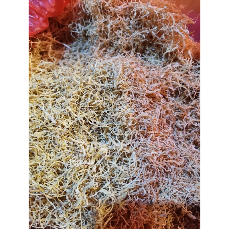 

LAOS PARUT KERING/ACARA ALIKKU