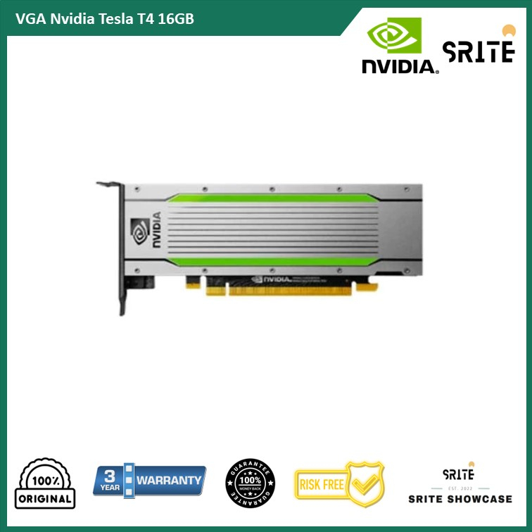 VGA Nvidia Tesla T4