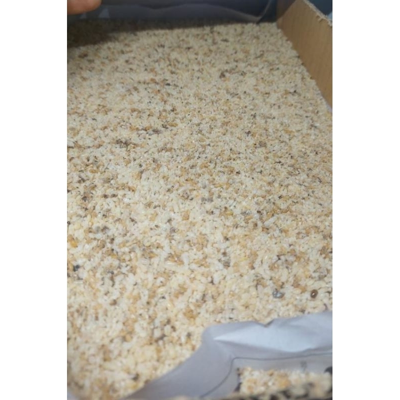 Poa telor rayap super kering 500-1000 gr