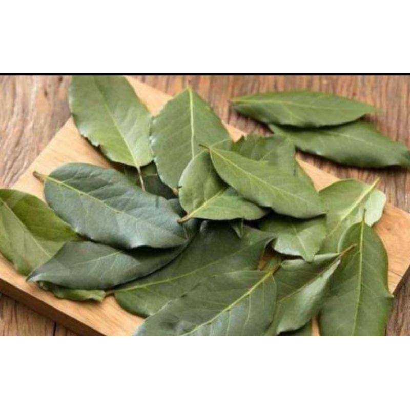 

Daun Salam