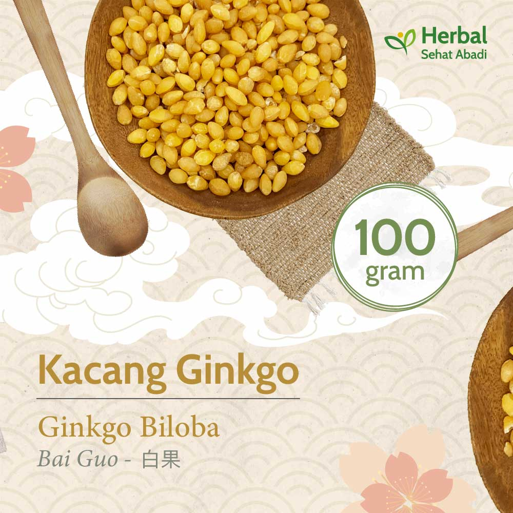 

Ginkgo Nut Mentah 100 gram / Bai Guo (白果) / Ginkgo Biloba / Ginko