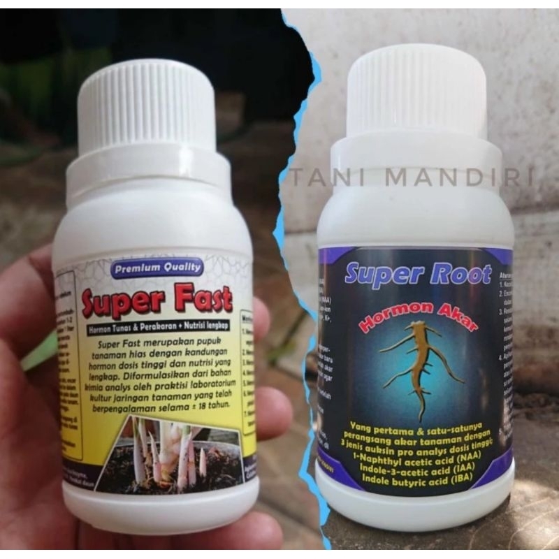 hormon tunas dan hormon akar