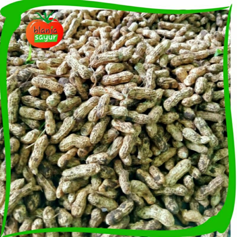 

Kacang Tanah Kacang Kulit Mentah 500gr