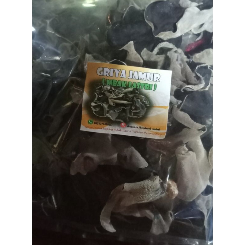 

JAMUR KUPING HITAM KERING