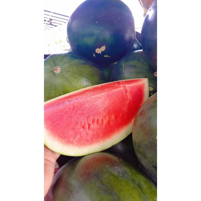 

semangka merah super jual perbiji/separoh 1biji berat 6/7kg