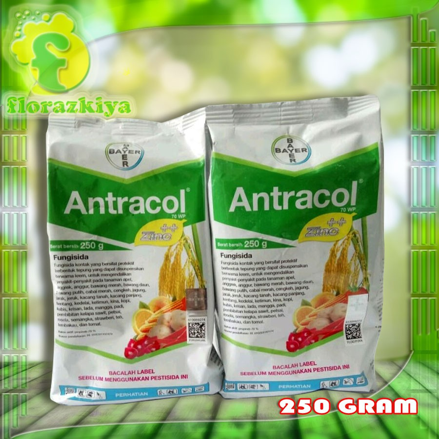 Fungisida + Zink Antracol 70 WP Bahan Aktif Simoksanil 70% 250 gram