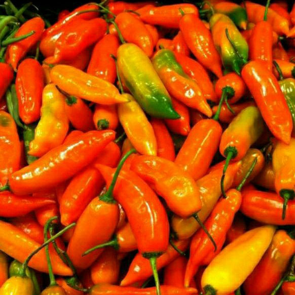 

Cabe Rawit Merah 500gr