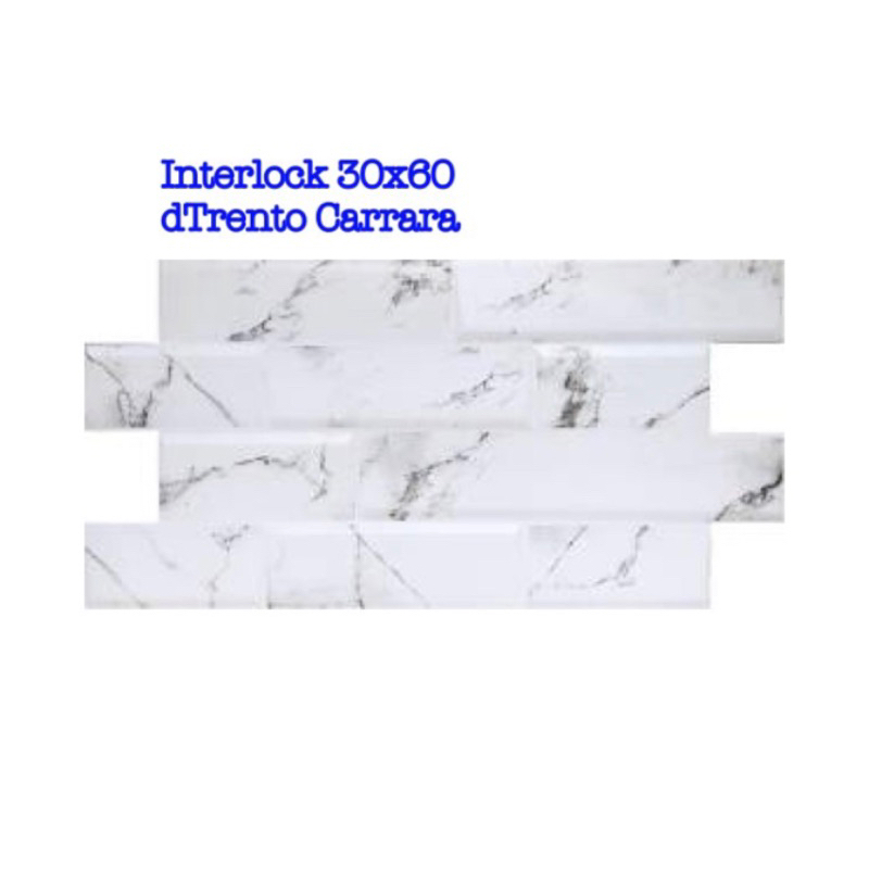 Roman keramik Interlock dTrento Carrara size 30x60