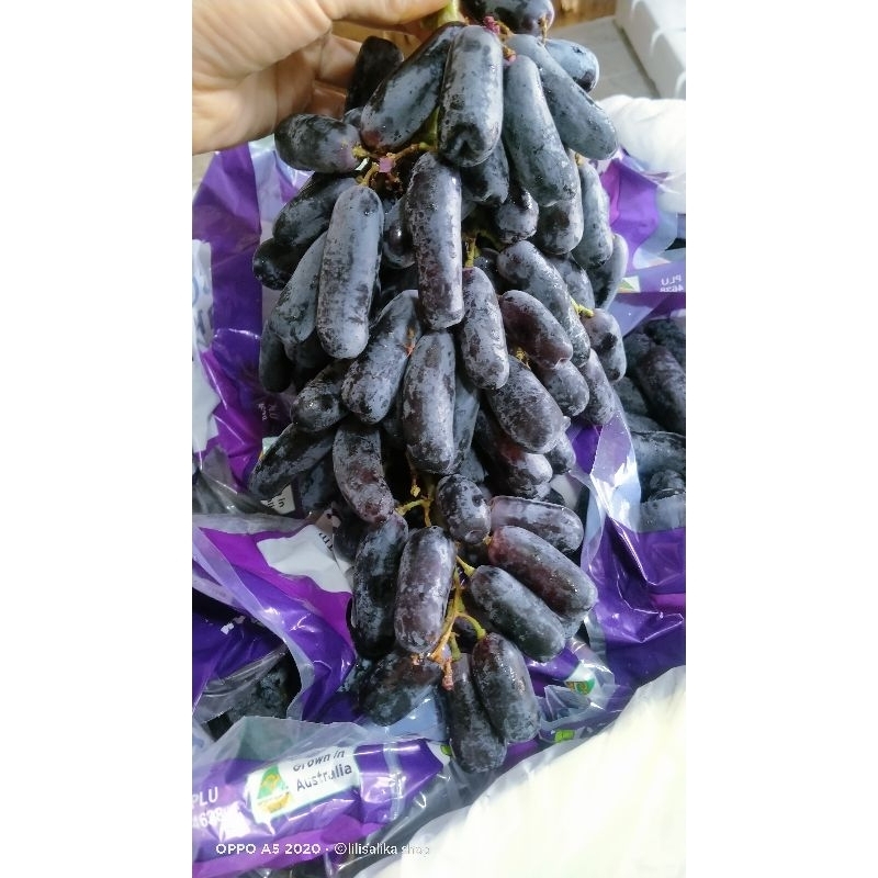 ANGGUR CHINESE SWEET SAPPHIRE/BLACK GRAPE BUY 1PAC FREE 1PAC