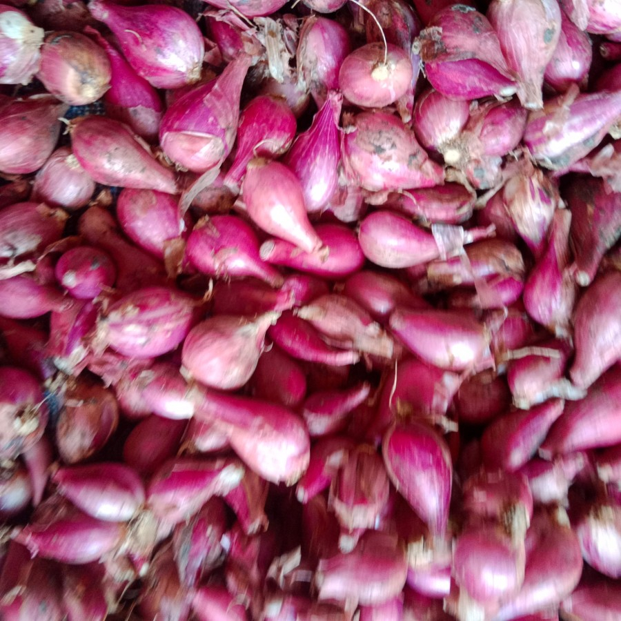 

Bawang Merah 1 kg Asli Brebes Kering