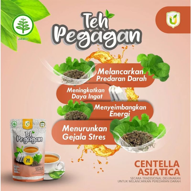 

Teh Celup Pegagan Teh Kesehatan Original Herbal (meningkatkan daya ingat)