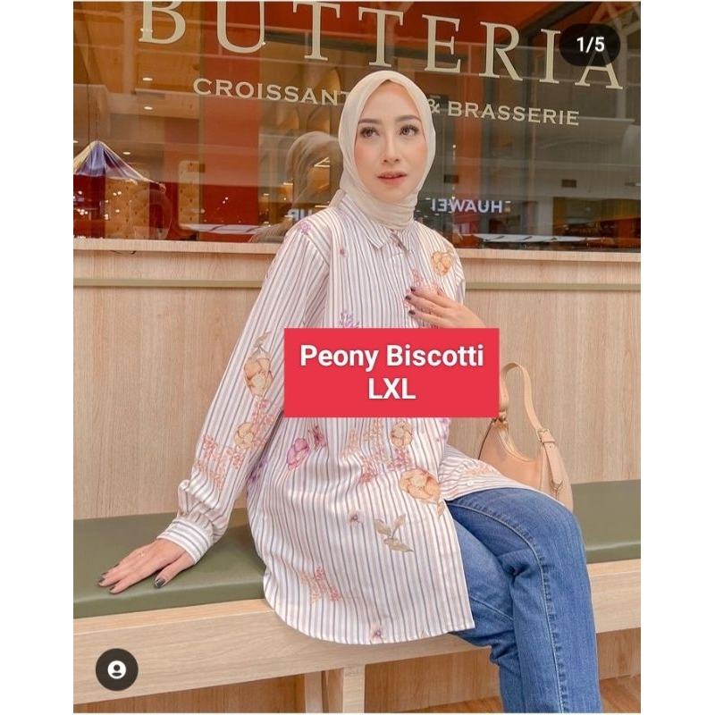 Peony Biscotti LXL Kienka