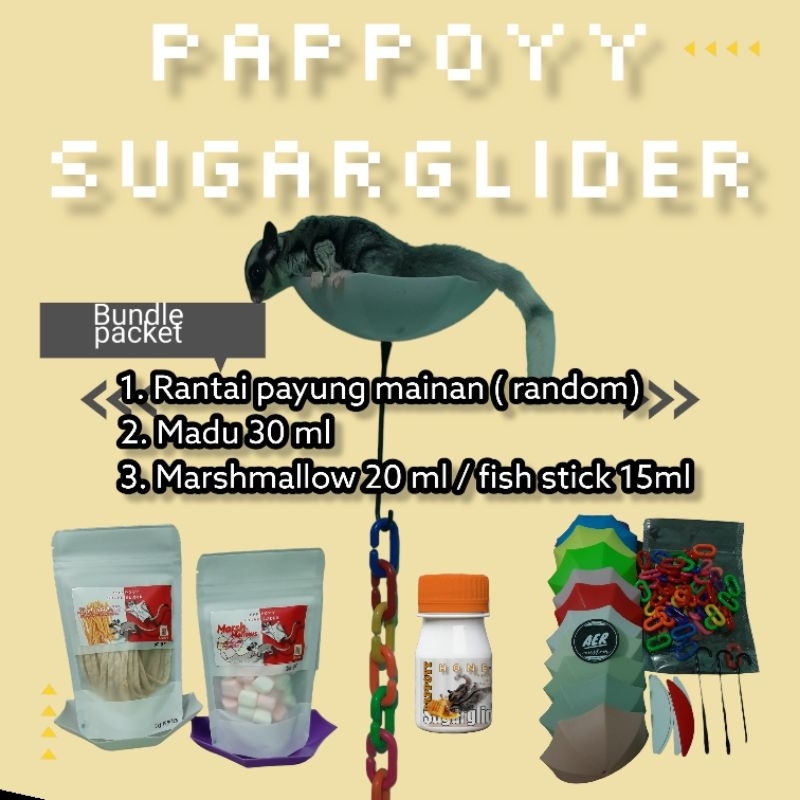 Paket glide to owner sugar glider hamster terbang