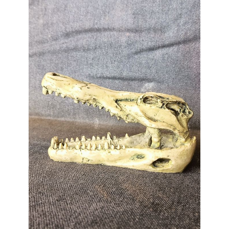 ornamen aquarium tengkorak buaya