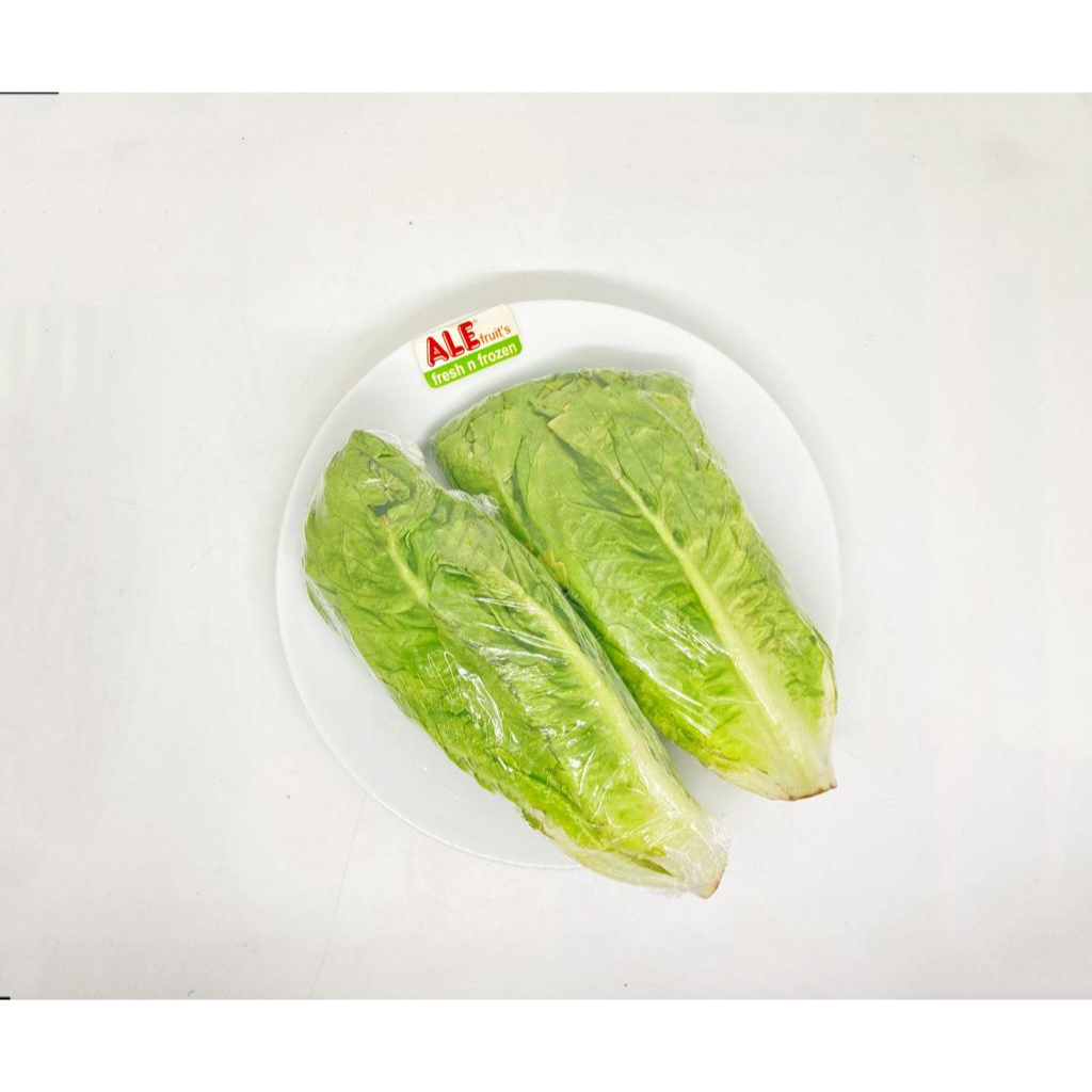 

Selada baby romaine fresh, sayur selada baby romaine, sayur baby romaine