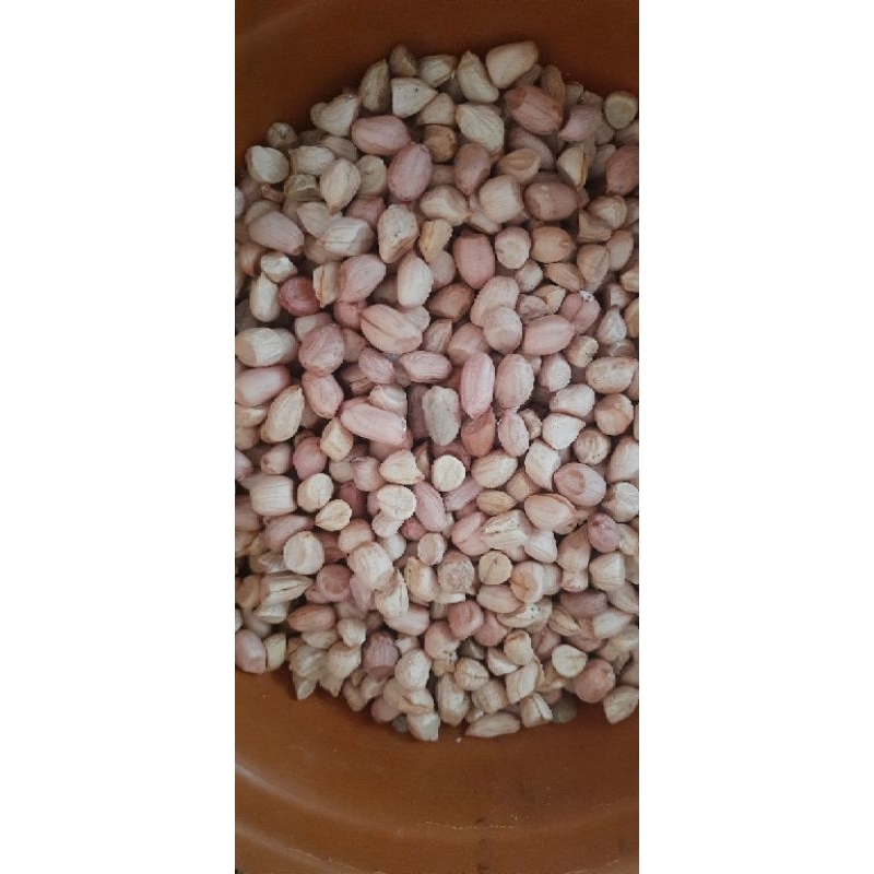 

REALPICT KACANG TANAH KUPAS BAGUS 1/2KG PANEN SENDIRI