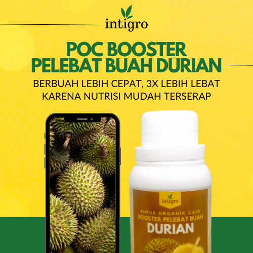 Pupuk Booster Durian / Pupuk Perangsang Buah Durian Pemacu Tumbuh Batang Daun Bunga Buah Akar / Pupu