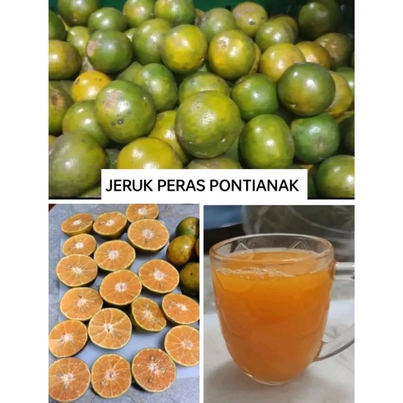 

Jeruk peras pontianak 1kg