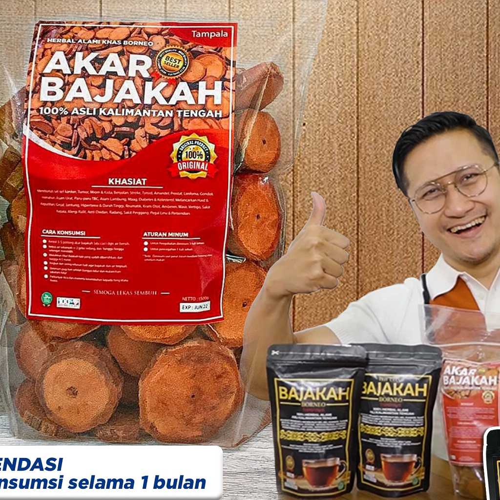 

[TERLARIS] 1Kg Akar Kayu BAJAKAH TAMPALA MERAH Siap Seduh Obat Tumor dan Kanker (100% ORIGINAL) Asli Kalimantan - BONUS 1 BUNGKUS TEH BAJAKAH