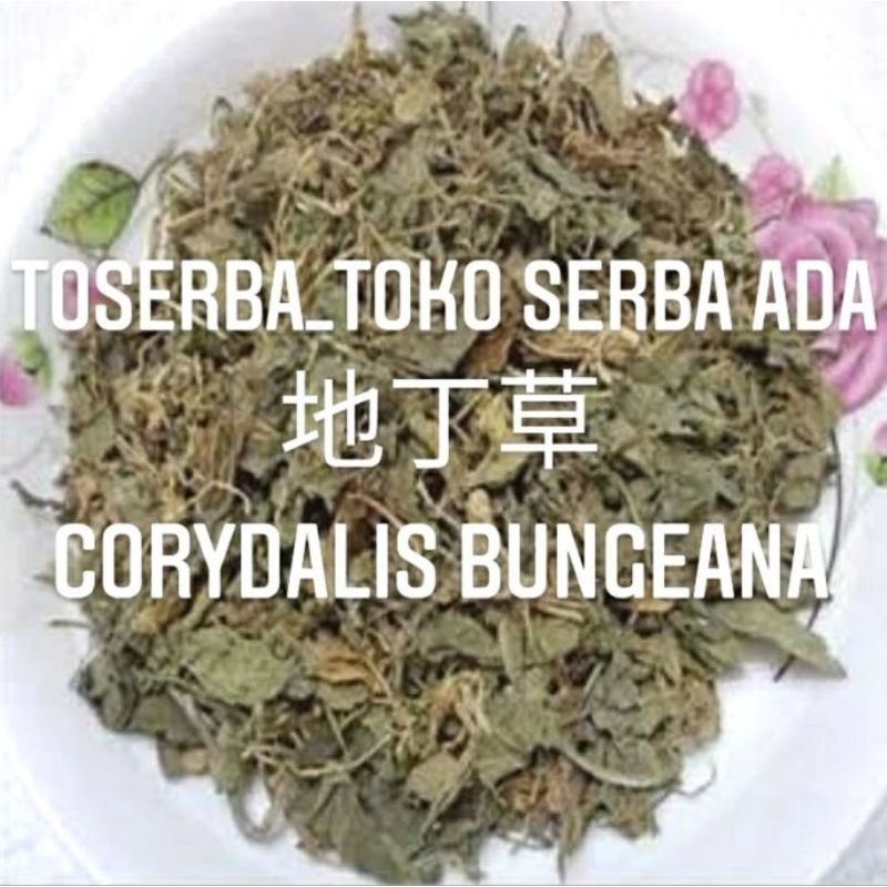 

100g Herbal Di Ding Cao 紫地丁草 Corydalis Bungeana Philippine Violet Herb / Mamyflower Gueldemstaedtid Herb