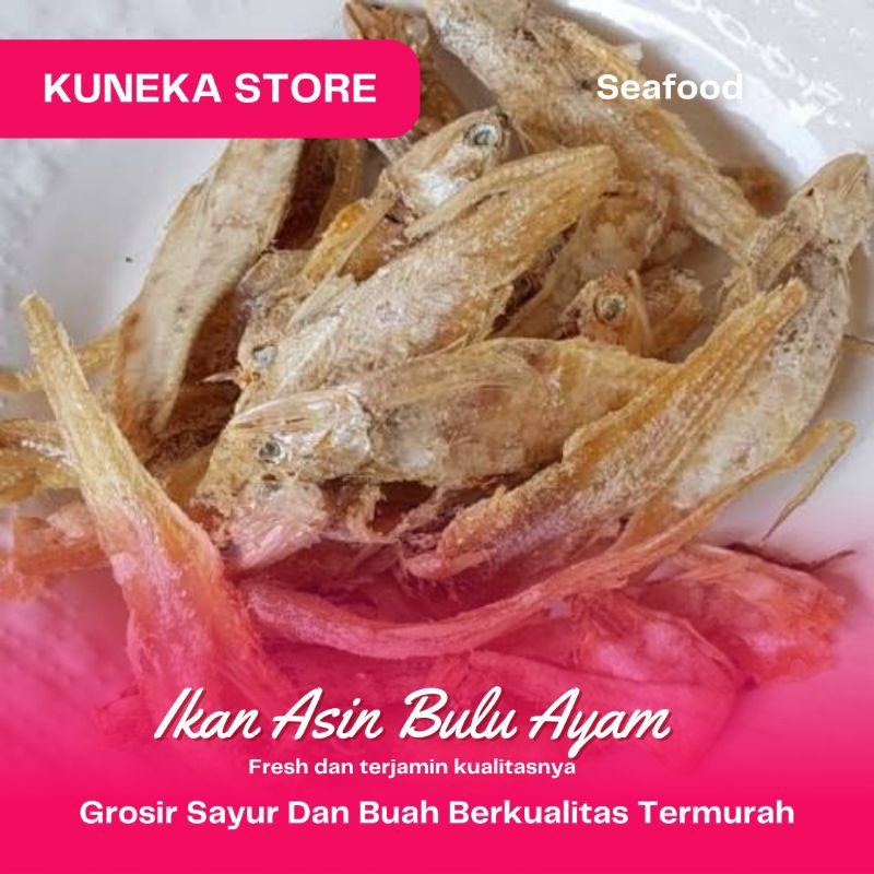 

KUNEKA IKAN ASIN BULU AYAM 100GR PROMO MURAH TERLARIS BEST SELLER TERBAIK