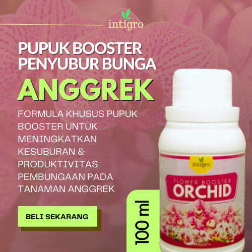 Pupuk Anggrek Cepat Berbunga Pupuk Penyubur Tanaman Anggrek Perangsang Tunas dan Bunga Ampuh Agar Ce