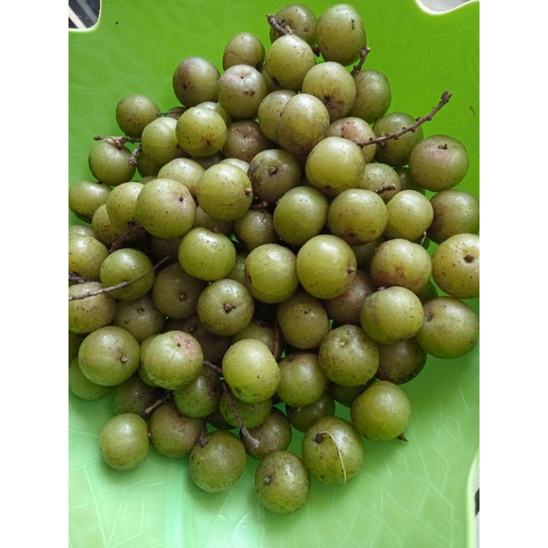 

Buah Malaka fres 500gr