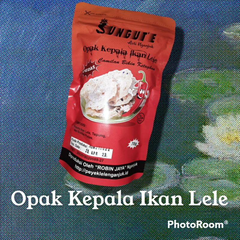 

Opak Kepala Ikan Lele