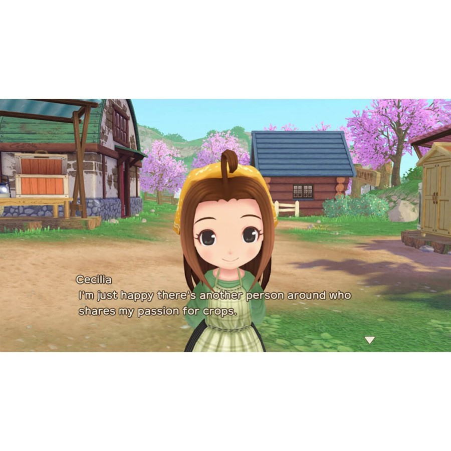 Nintendo Switch Story of Seasons A Wonderful Life