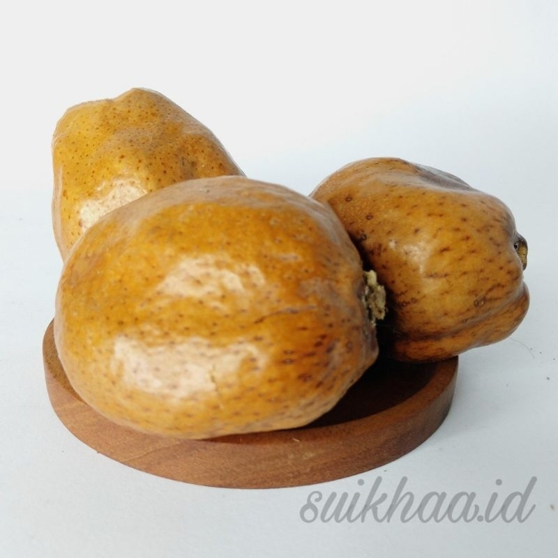 BUAH ZURIAT / BUAH DOUM ZURIYAT / BUAH ZURIAT ASLI MADINAH / ZURIAT MADINAH / BUAH ZURIYAT