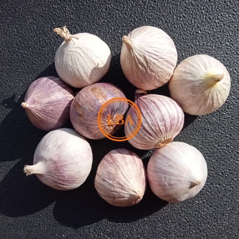 

Bawang Putih Tunggal Ukuran Besar 1 Kg