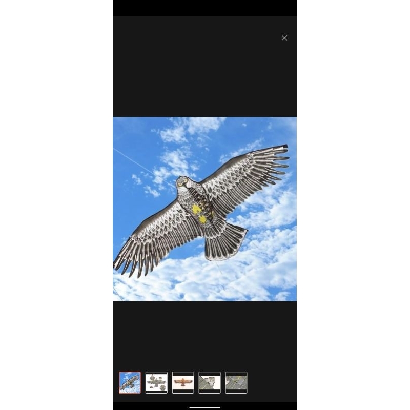 Layangan burung elang Jumbo