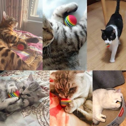 Bola Pelangi mainan gigitan bola gigit anjing kucing cat dog kitten puppy toys rainbow ball