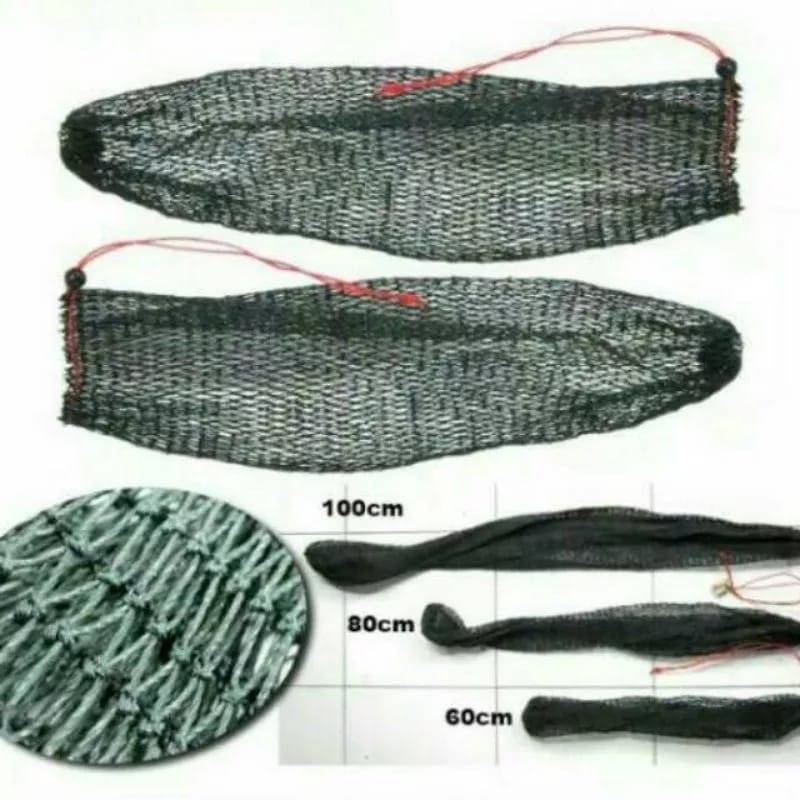 Korang Koja Jaring tempat ikan