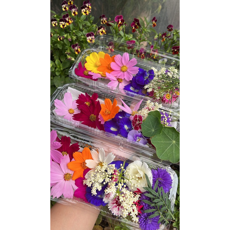 Edible flower (fresh)