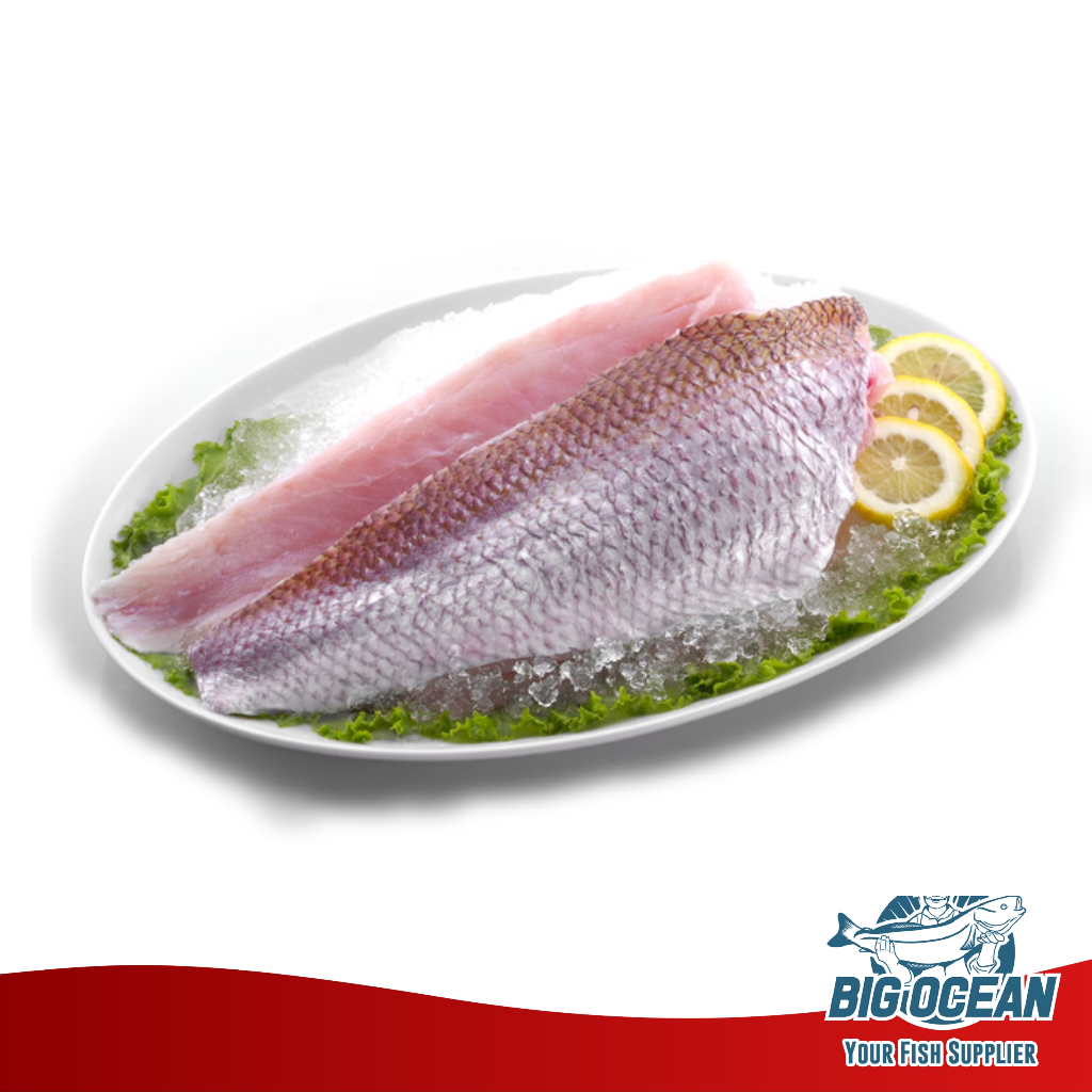 

Anggoli Fillet | Kakap Anggoli Fillet @1kg