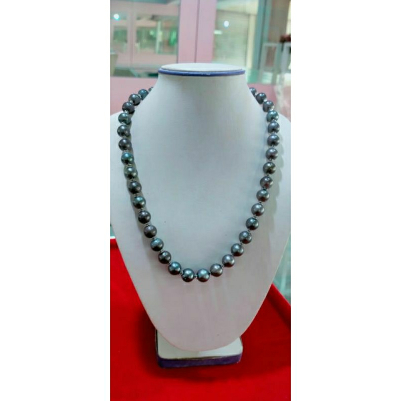 Kalung Mutiara Air Laut Hitam Tahiti Asli Mewah Harga Grosir