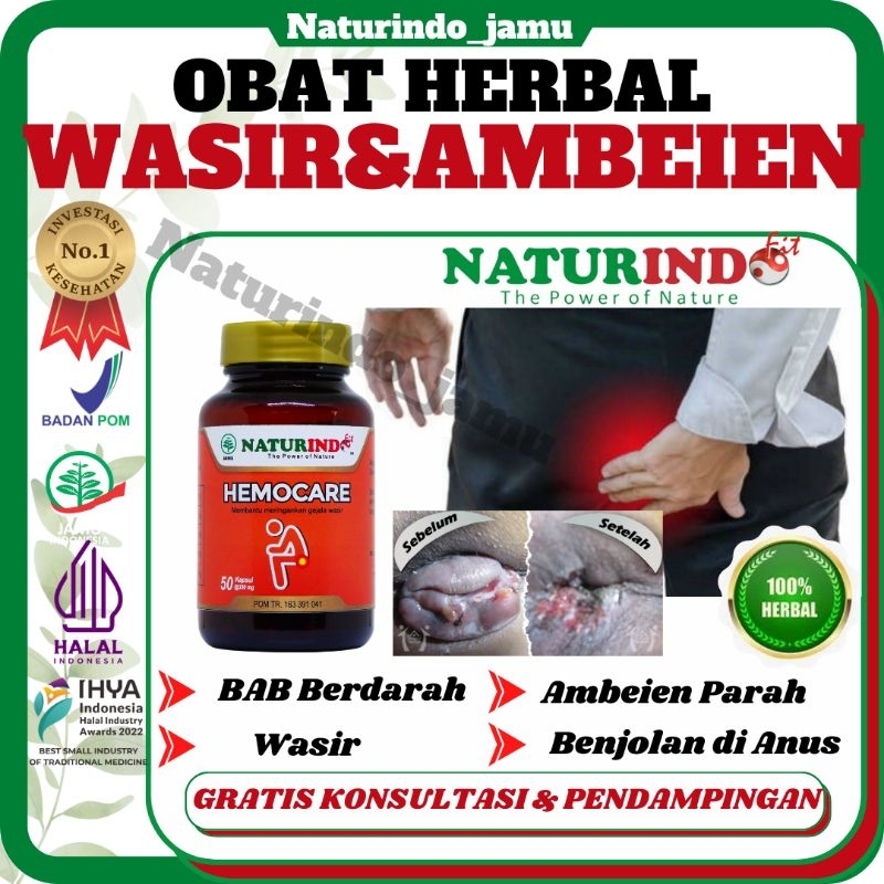 Obat Ambeien Wasir Obat Bab Berdarah  Benjolan Pada Anus Wasir  Paling Manjur Obat Ambeien Pluru Kel